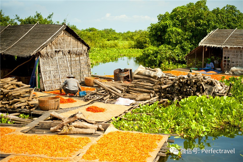 ion 世界最高大上的奢华河轮居然在这里pg电子试玩入口Aqua Expedit(图6)